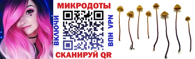 Купить где  Малгобек  Псилоцибиновые грибы мухоморы 