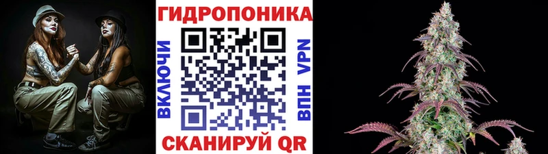 Купить  Малгобек  Шишки марихуана индика 